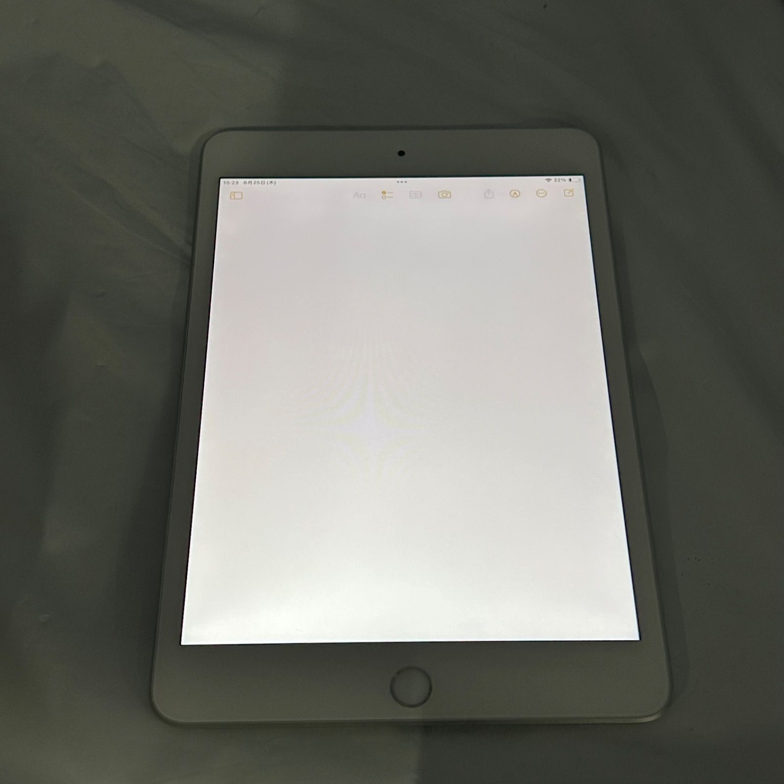 中古・動作品 Apple iPad mini (第5世代) Wi-Fi + Cellular 256GB 