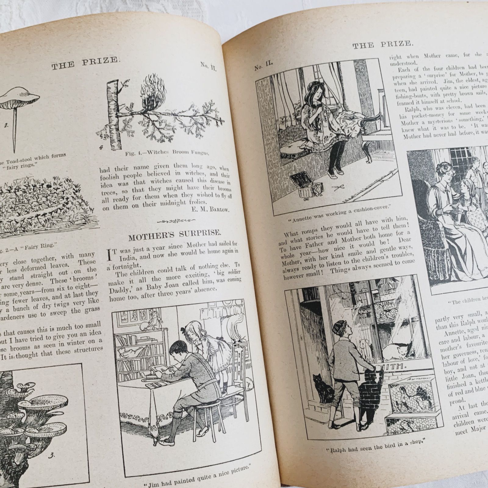 1911-1912年 英国アンティーク児童書-カラー&モノクロ挿絵を眺める