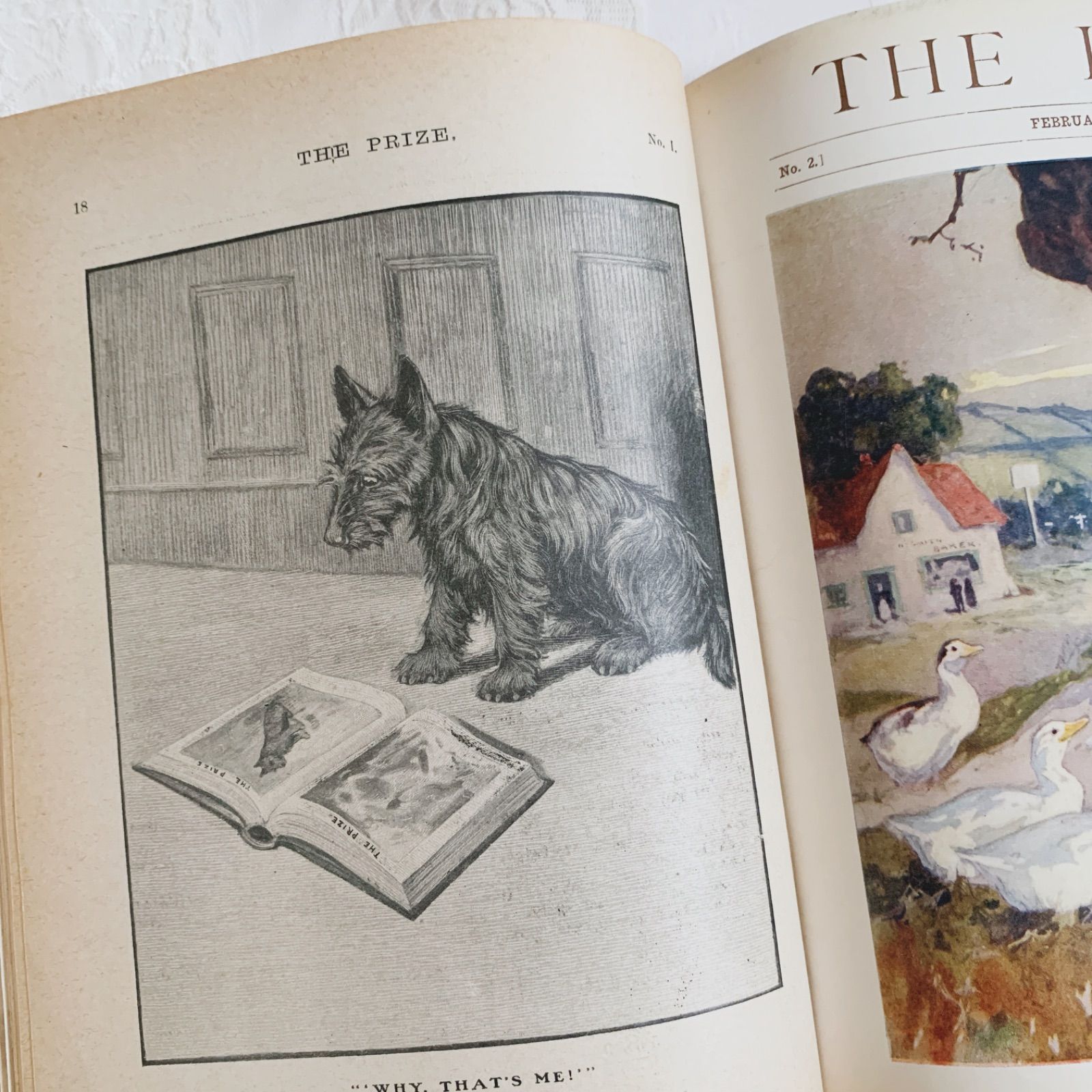 1911-1912年 英国アンティーク児童書-カラー&モノクロ挿絵を眺める