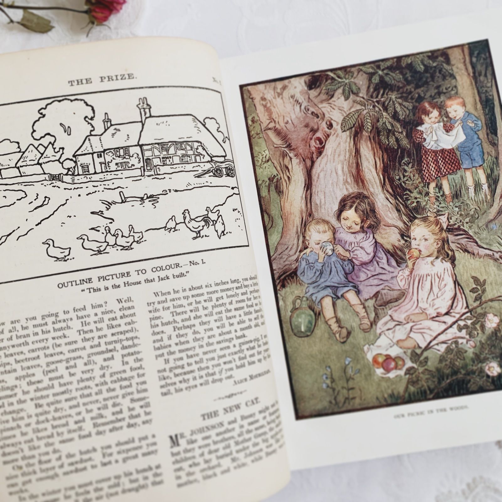 1911-1912年 英国アンティーク児童書-カラー&モノクロ挿絵を眺める