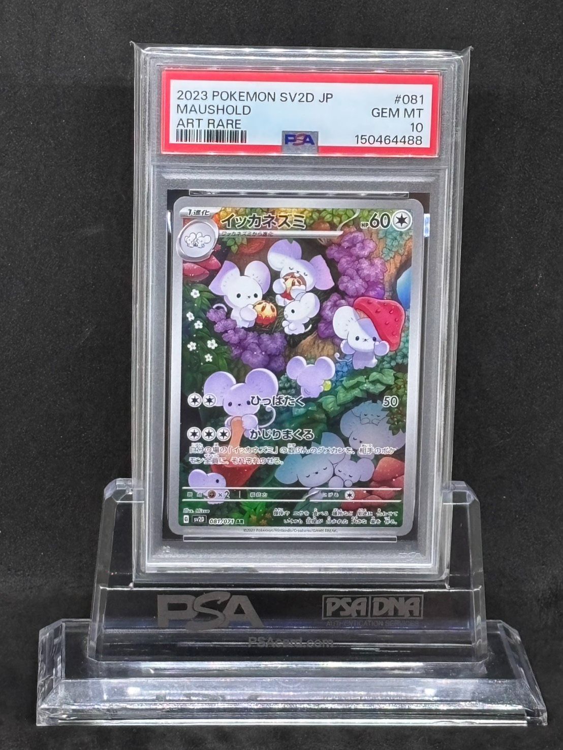 イッカネズミ AR SV2D【クレイバースト】081/071 PSA10 - メルカリ
