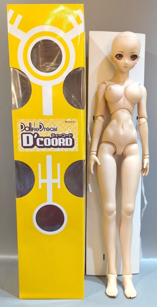 ボークス D'COORD DD DDH-09 フレッシュ