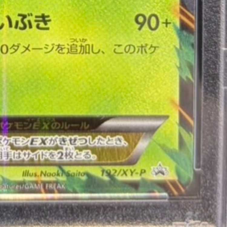 リーフィアex リーフブレード　192/xy-p psa10 PSA10】リーフィアEX PROMO 192/XY-P 1枚 - メルカリ