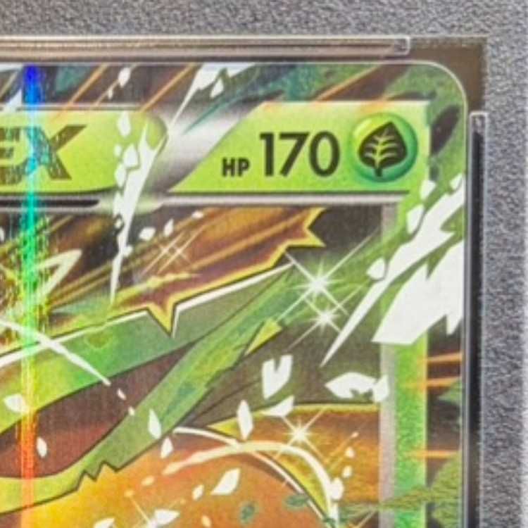 PSA10】リーフィアEX PROMO 192/XY-P 1枚 - メルカリ