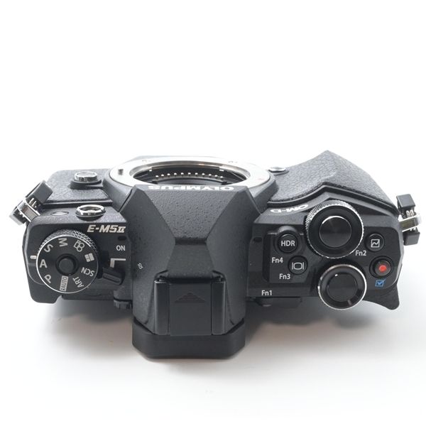 オリンパス OLYMPUS OM-D E-M5 MarkII ボディ ブラック - メルカリ