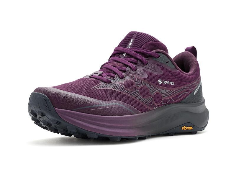サッカニー レディース シューズ スニーカー Saucony Peregrine 16 Gtx EggplantEbony