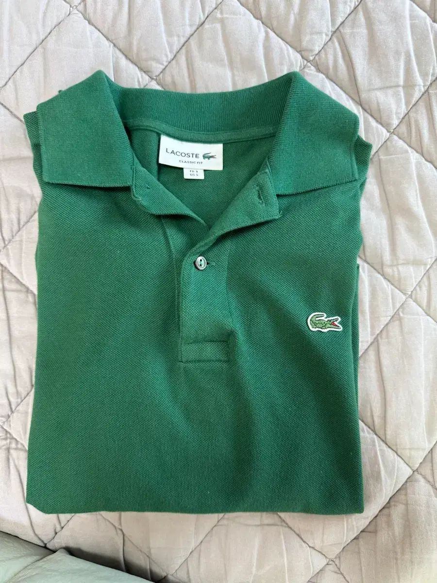 ラコステ カラーTシャツ グリーン US 5