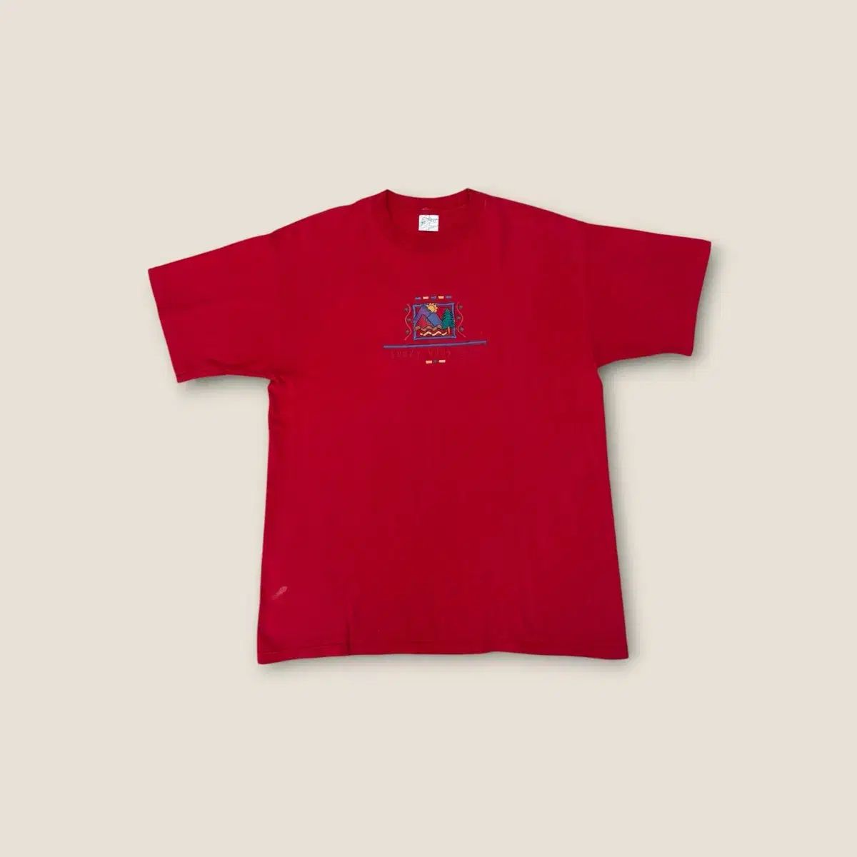 90s USA ヴィンテージ シングルステッチ Tシャツ L
