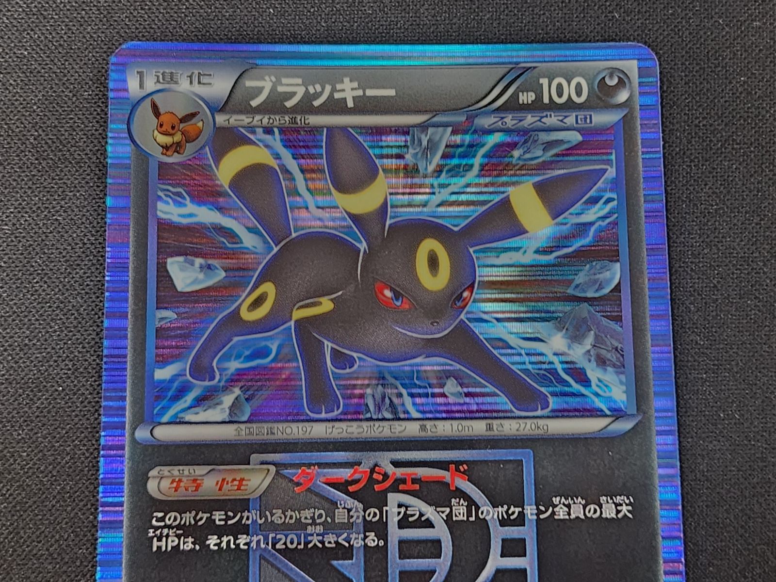 ブラッキー 031/051 BW8 PC ポケモンカード ブラッキー R 031/051 BW8 1st Edition ※商品説明文