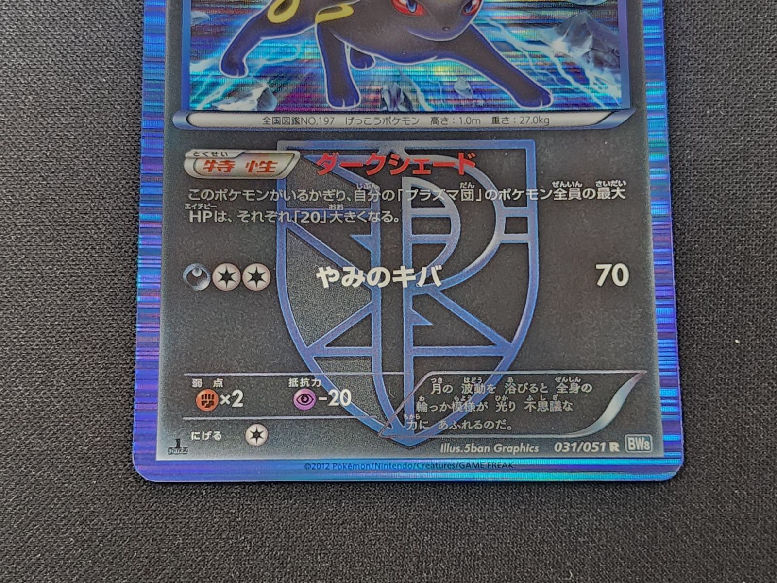 PC ポケモンカード ブラッキー R 031/051 BW8 1st Edition ※商品説明文
