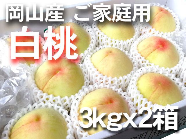 【冷蔵便　ご家庭用】岡山産　白桃　約3ｋｇｘ2箱（1箱13～18玉入り）