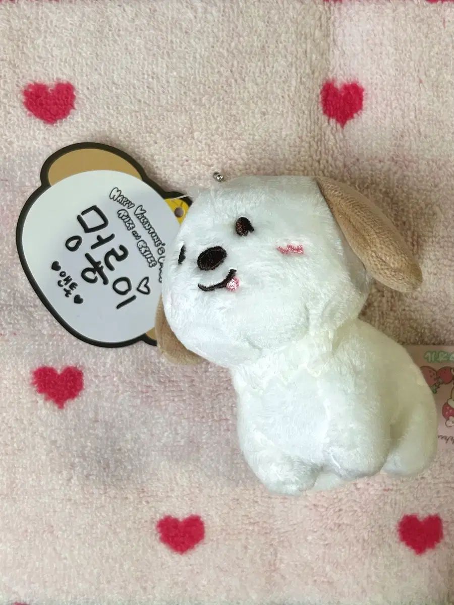 RIIZE（ライズ）1stシーズン ぬいぐるみ 10cm 멍룡이 アントン(ANTON)