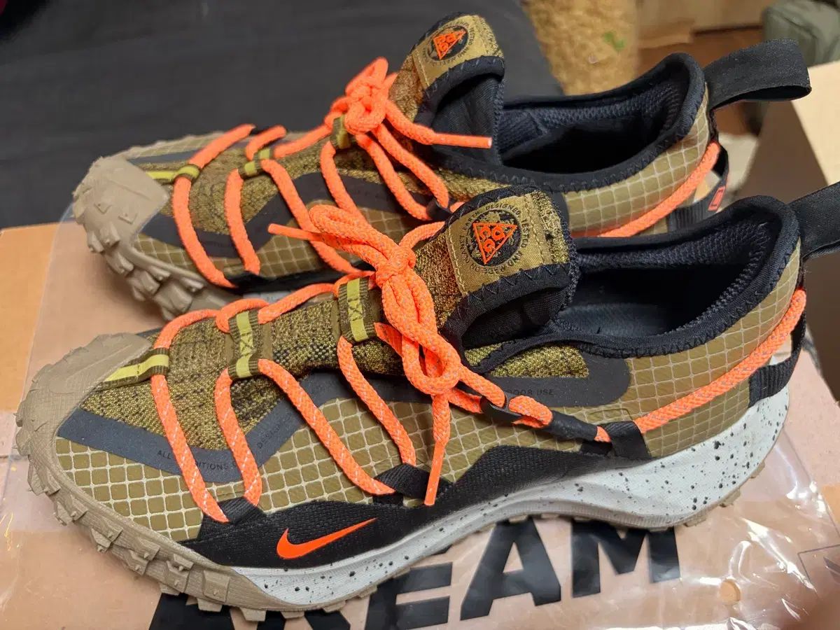 NIKE ナイキ ACG マウンテン マウンテン フライ フライ ロー ヘイゼルラッシュ GORE-TEX ゴアテックス 240