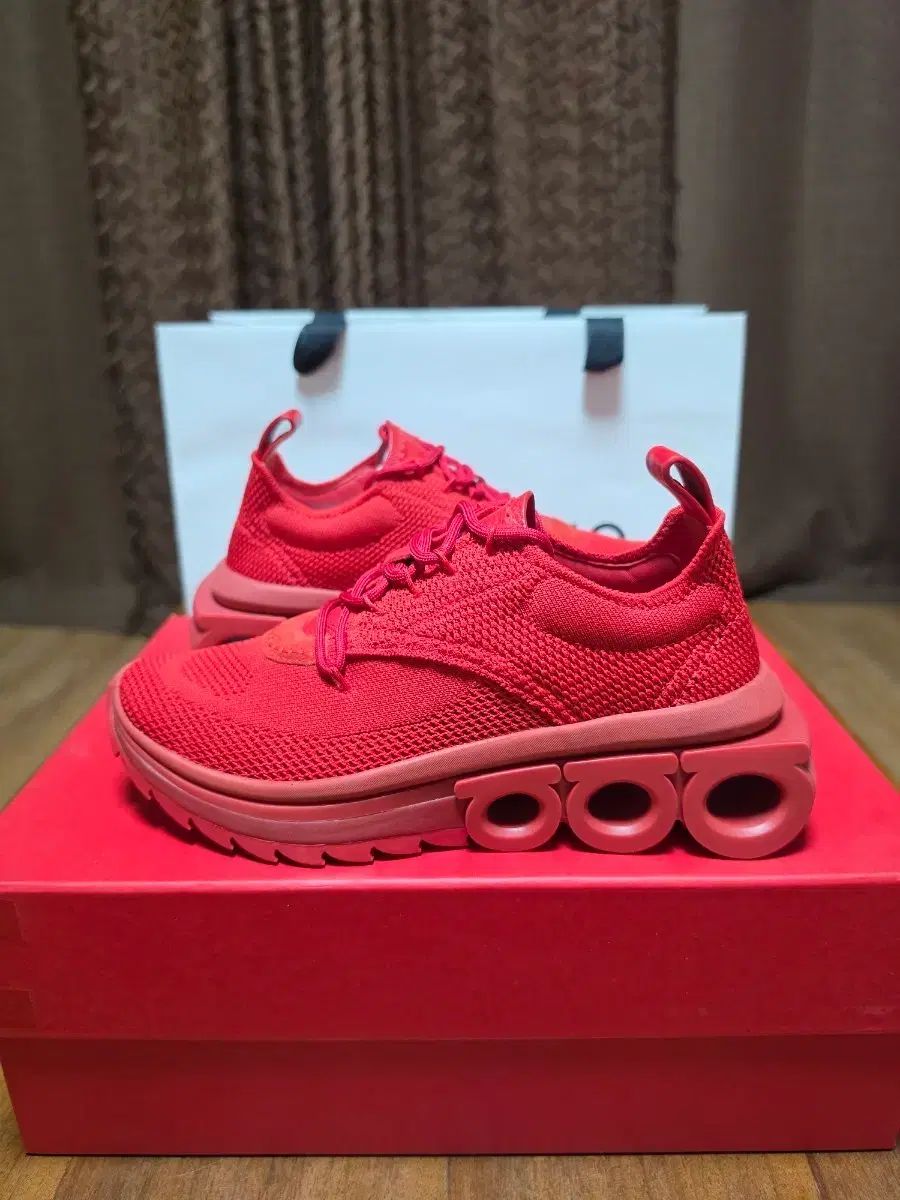 新品 FERRAGAMO フェラガモ レディーススニーカー 6 5/240
