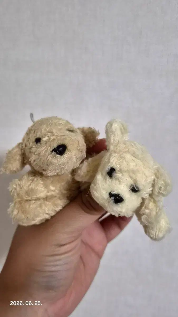 古典 향기 강아지 ぬいぐるみ