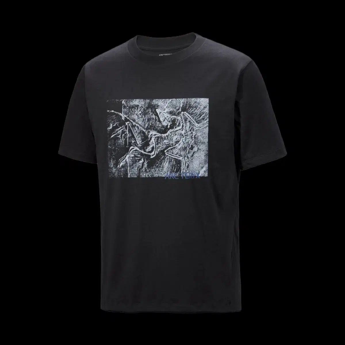 L アークテリクス クレイグ コットン リソグラフィカ Tシャツ ブラック