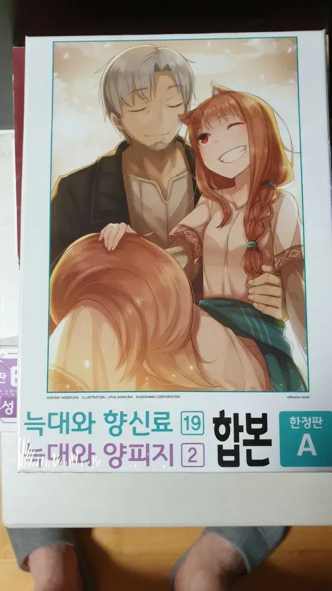 狼と 香辛料 19 巻 合本 限定モデル A B
