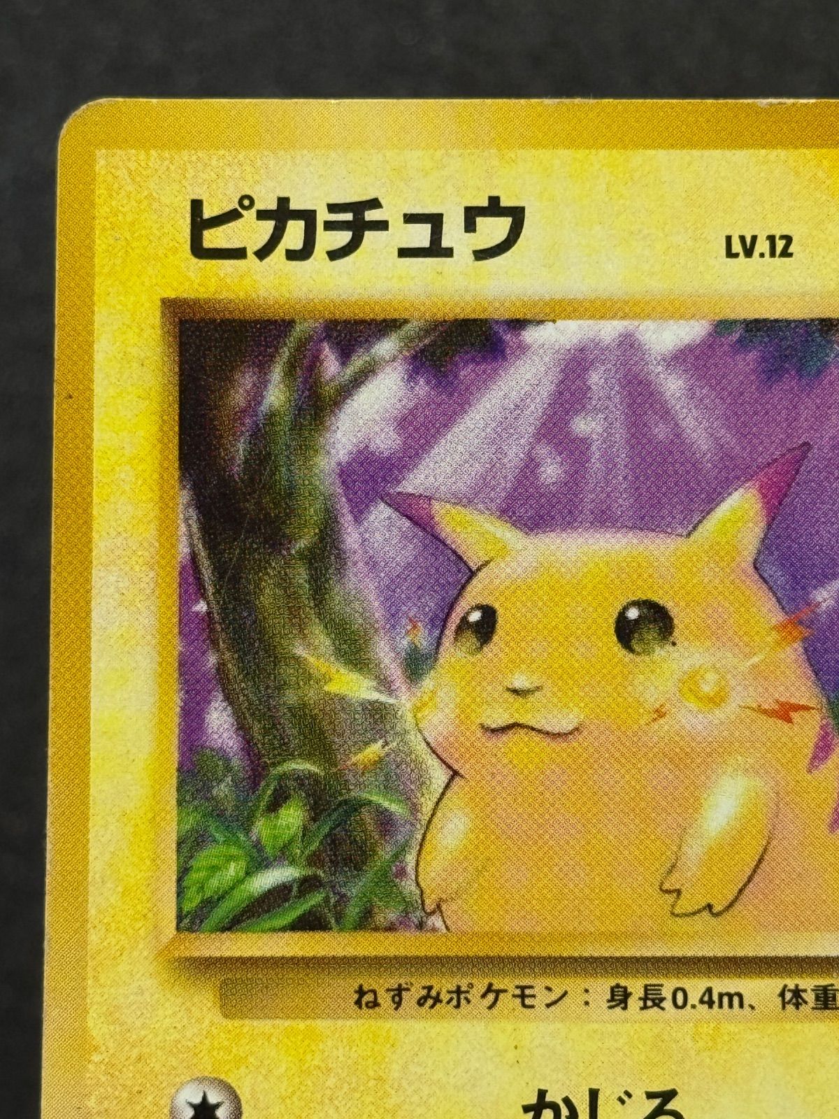 旧裏】【状態悪い】ピカチュウ LV.12 ○ No.025 ポケモンカード【送料