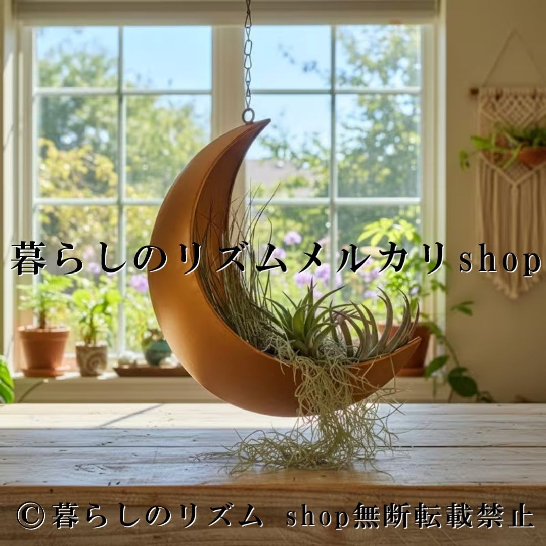 月型 ハンギングプランター 壁掛けプランター 吊り下げ植木鉢 ハンギングバスケット 多肉植物ポット 観葉植物ポット フラワーポット ガーデニング雑貨 壁面装飾 植物ディスプレイ ガーデンオーナメント バルコニー装飾 ホームデコレーション インテリアグリーン