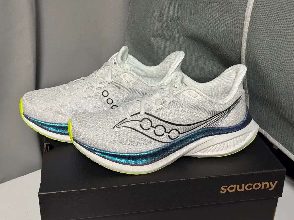 Saucony サッカニー エンドルフィン スピード5 275mm