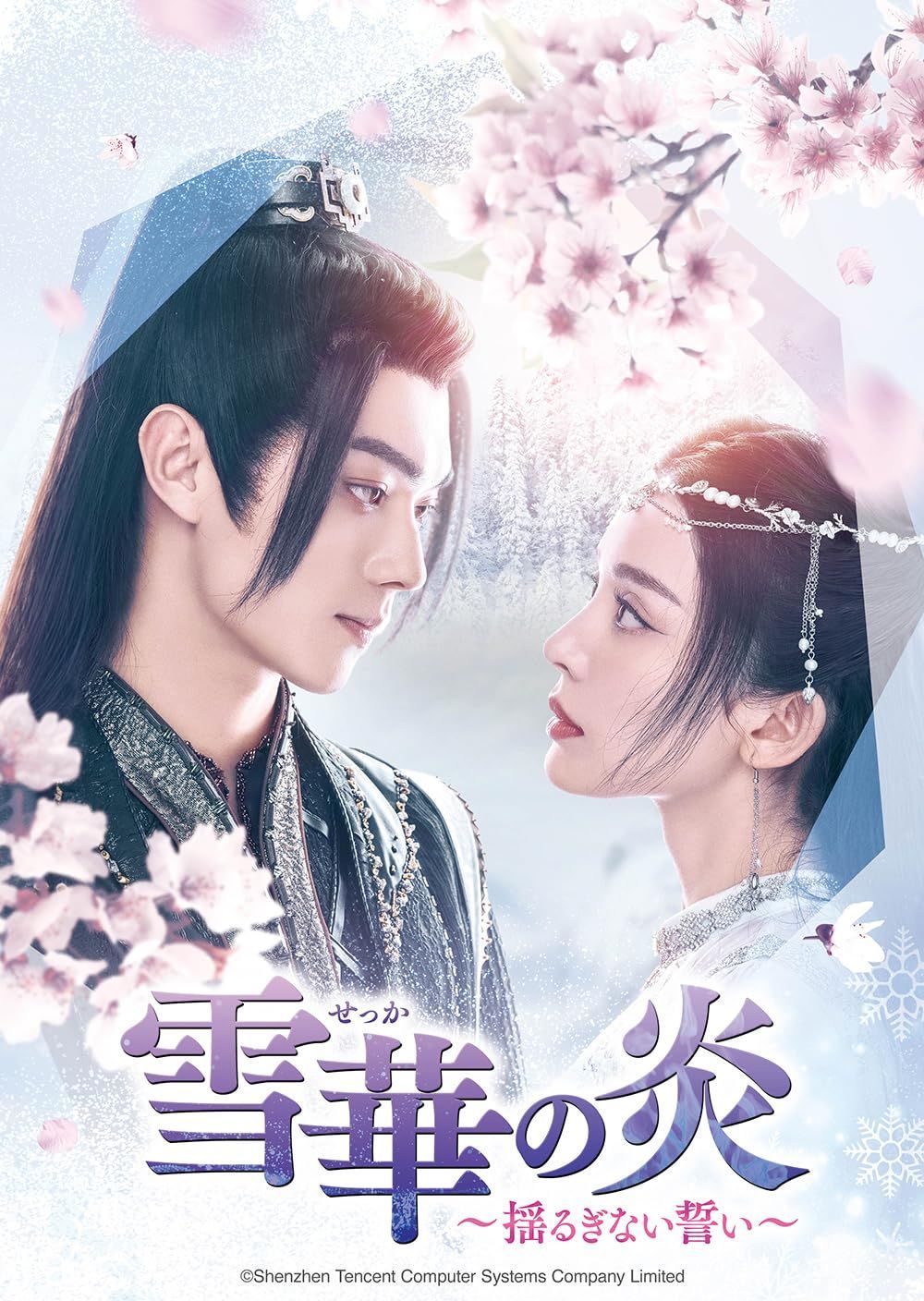 雪華の炎~揺るぎない誓い~ DVD-SET3 シュー・カイ,グーリーナーザー,リー・タッチウ[DVD](中古)