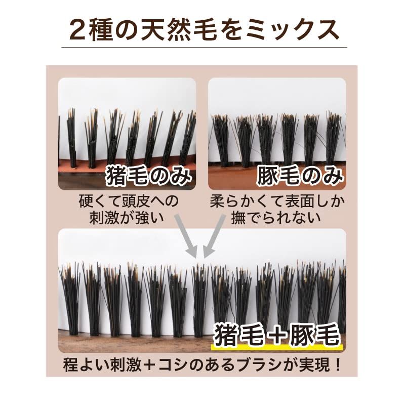 ベスVESS 【日本製】 美容師さんの天然毛100%ヘアブラシ 猪毛/豚毛段差植毛クッションブラシ【3WAYブラシクリーナー付き】 【プレゼント ギフト】 SP-5000pms ベスVESS 【日本製】 美容師さんの天然毛100%ヘアブラシ 猪毛/豚毛段差植毛クッションブラシ【3WAYブラシクリーナー付き】 【プレゼント ギフト】 SP-5000pms