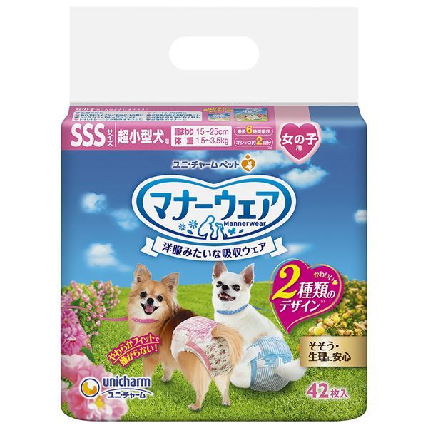 1997年イーグル銀貨1オンス ウォーキングリバティ（ハードケース入）