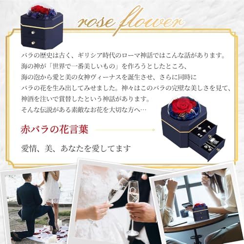 プリザーブドフラワー バラ 母の日のプレゼント人気 SENJWARM 大容量 ブリザードフラワー ジュエリーボックス 記念日 人気 誕生日 プレゼント 友達 結婚祝い 贈り物 枯れない花 彼女 妻 プレゼント 女の人 退職祝い ホワイトデー 7d8866b3