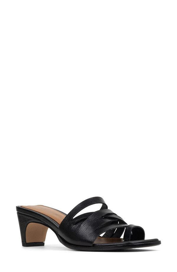 ドナルドプリネール レディース シューズ ヒール サンダル Donald Pliner Dayvi Toe Loop Sandal Black ブラック