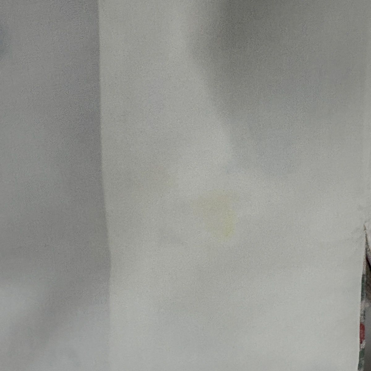 訪問着 身丈163cm 裄丈64cm M 袷 紬地 椿 金彩 ピンクベージュ 正絹 秀品 【中古】