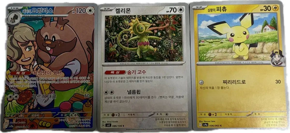 ポケットモンスター カード ヨッシリス ケリーモン ピチュー セット