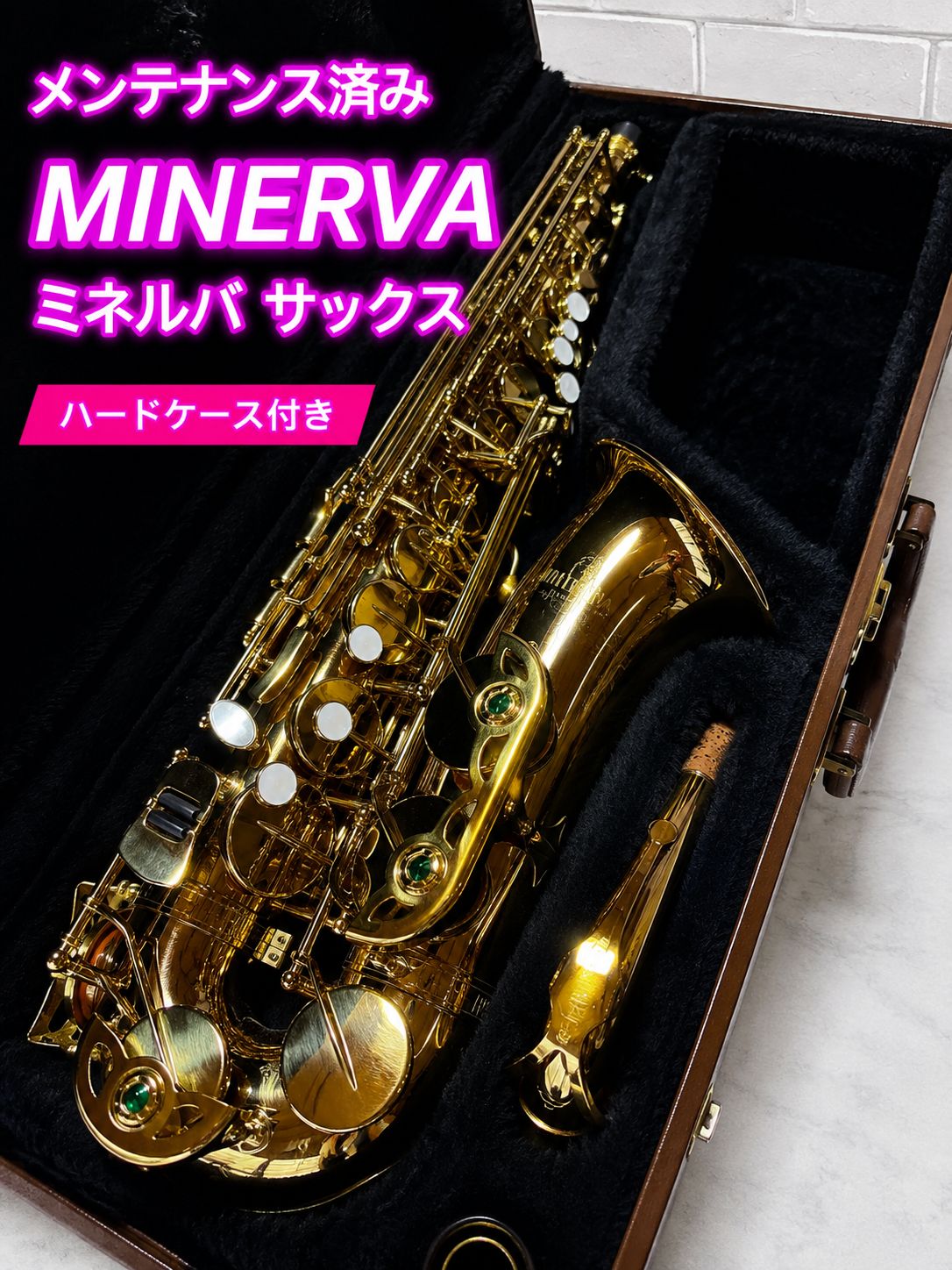 MINERVA MINERVA SAXOX WIND INSTRUMENT MAINTENANCE WITH CASE