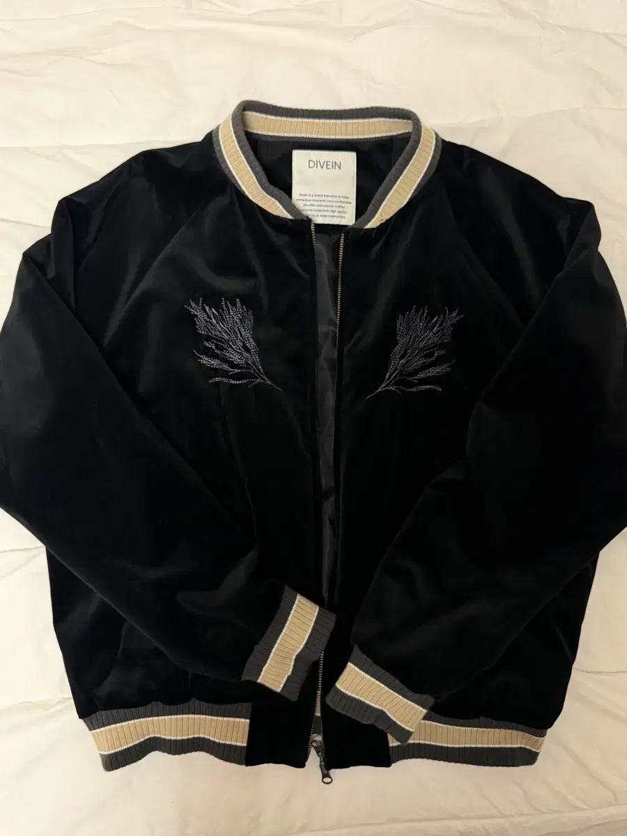 DIVE IN スーベニアオフィシャル ジャケット 2サイズ