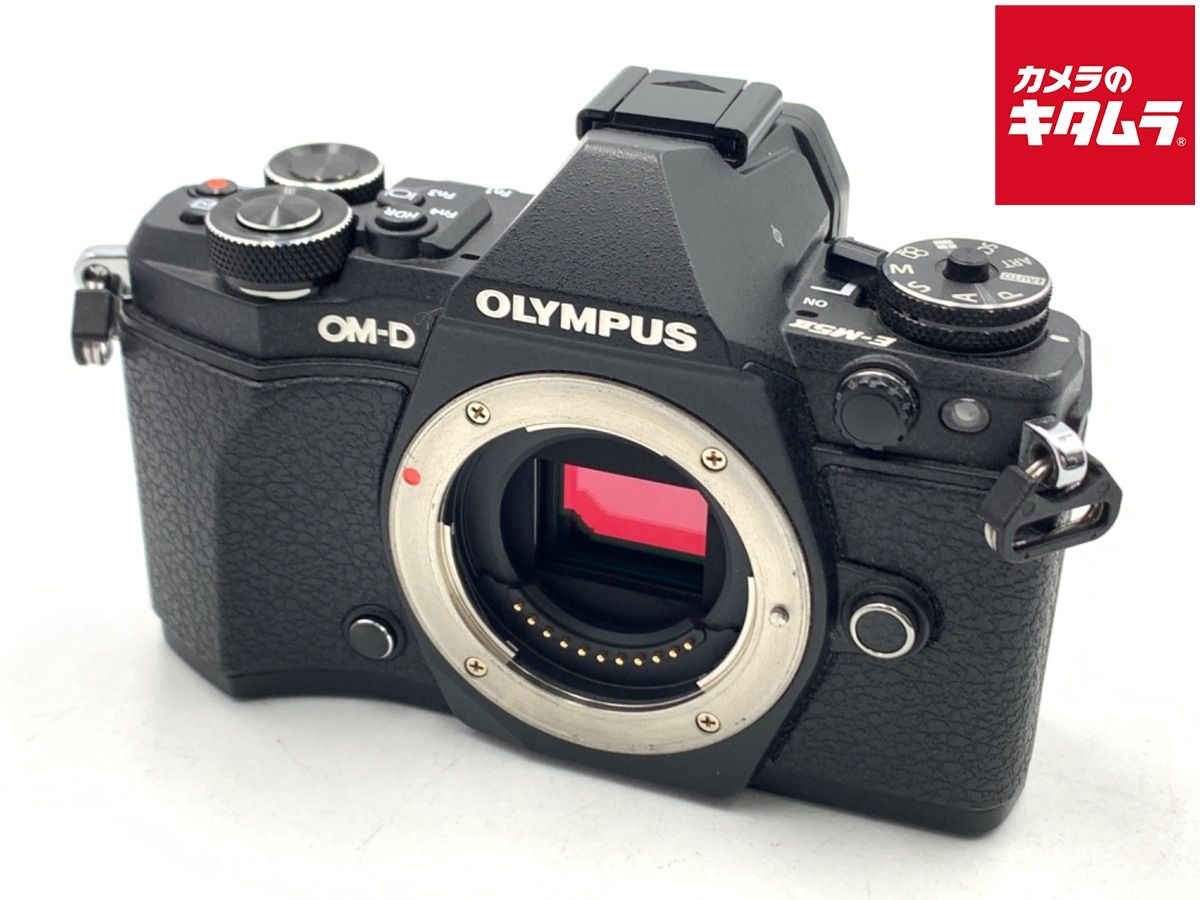 シャッター回数3093回！□美品□ PANASONIC GM5 ボディ ブラック DMC-GM5-K
