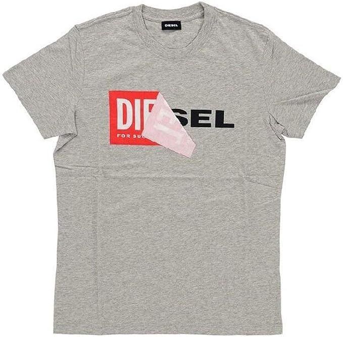DIESEL (ディーゼル) DIEGO メンズ Tシャツ 剥がれロゴ　めくり　年々値上がりのベストセラー　グレー