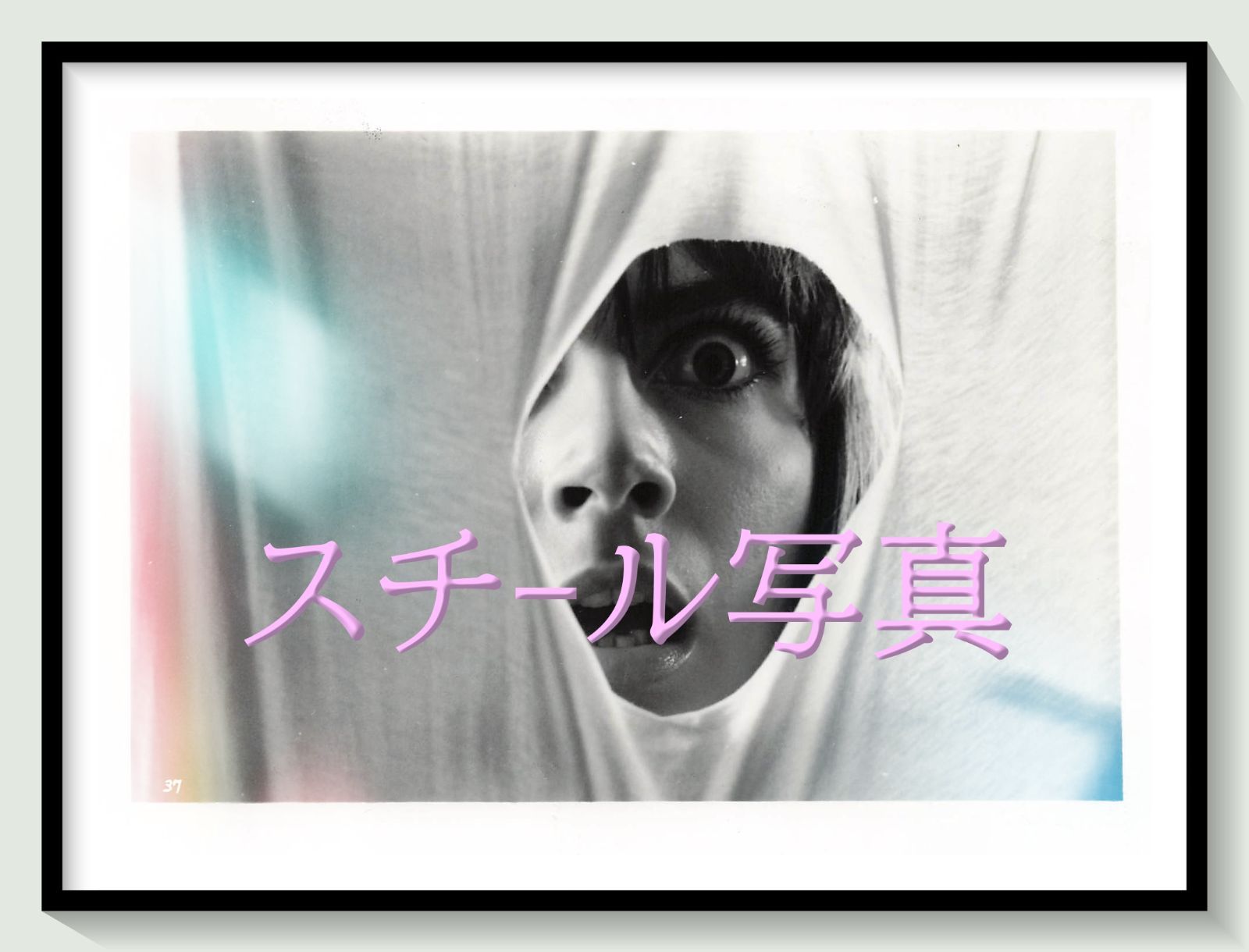 t『シャドー』1983年映画劇場宣伝用正規オリジナルスチール写真　pt005145　ダリオ・アルジェント アンソニー・フランシオサ ダリア・ニコロディ ジョン・サクソン ジュリアーノ・ジェンマ