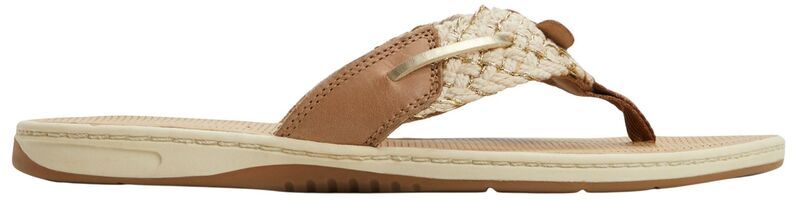 スペリー レディース シューズ スニーカー サンダル Sperry Womens Parrotfish sandal Brown Multi ブラウン