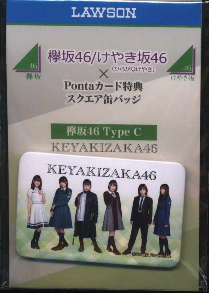 欅坂46/けやき坂46 カード未使用 TypeC Pontaカード＋スクエア缶バッジ