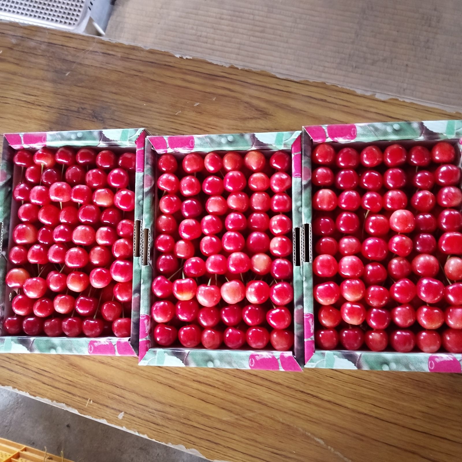 やまがた紅王 700g - メルカリ
