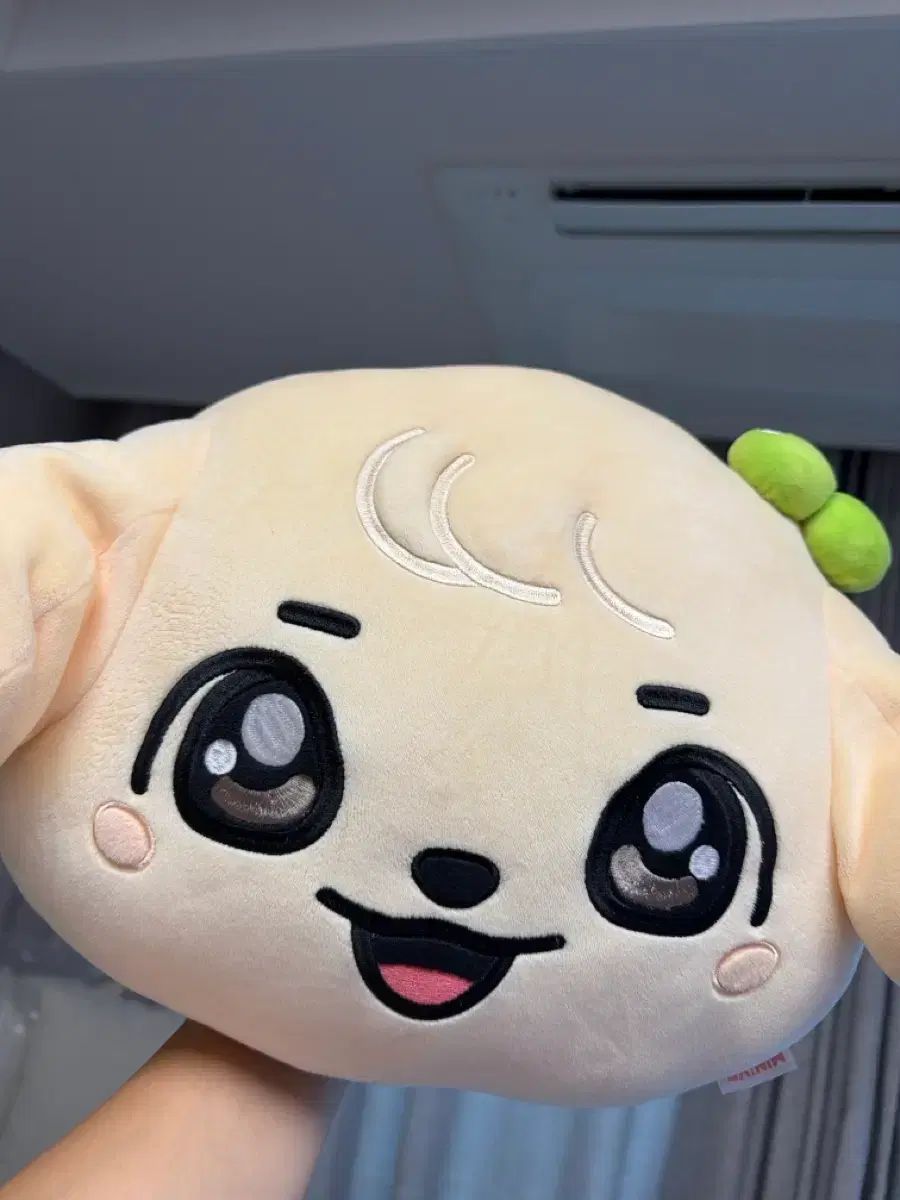 IVE（アイヴ） ミニヴ ユジン(YUJIN) カンアンジ(GANGANJI) クッション