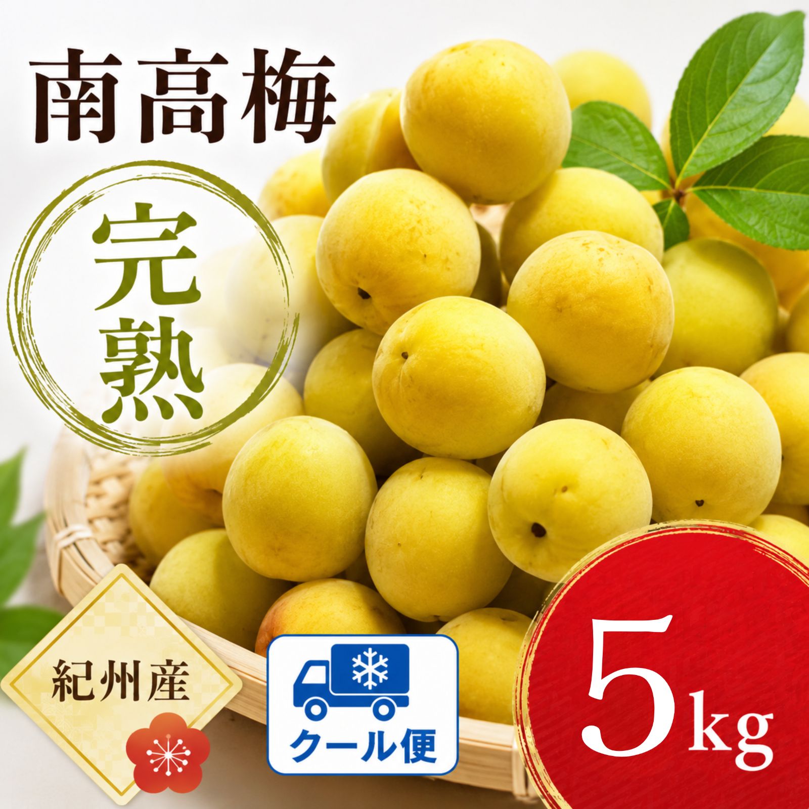 【クール便】和歌山県産　南高梅 5キロ【黄色～完熟梅】