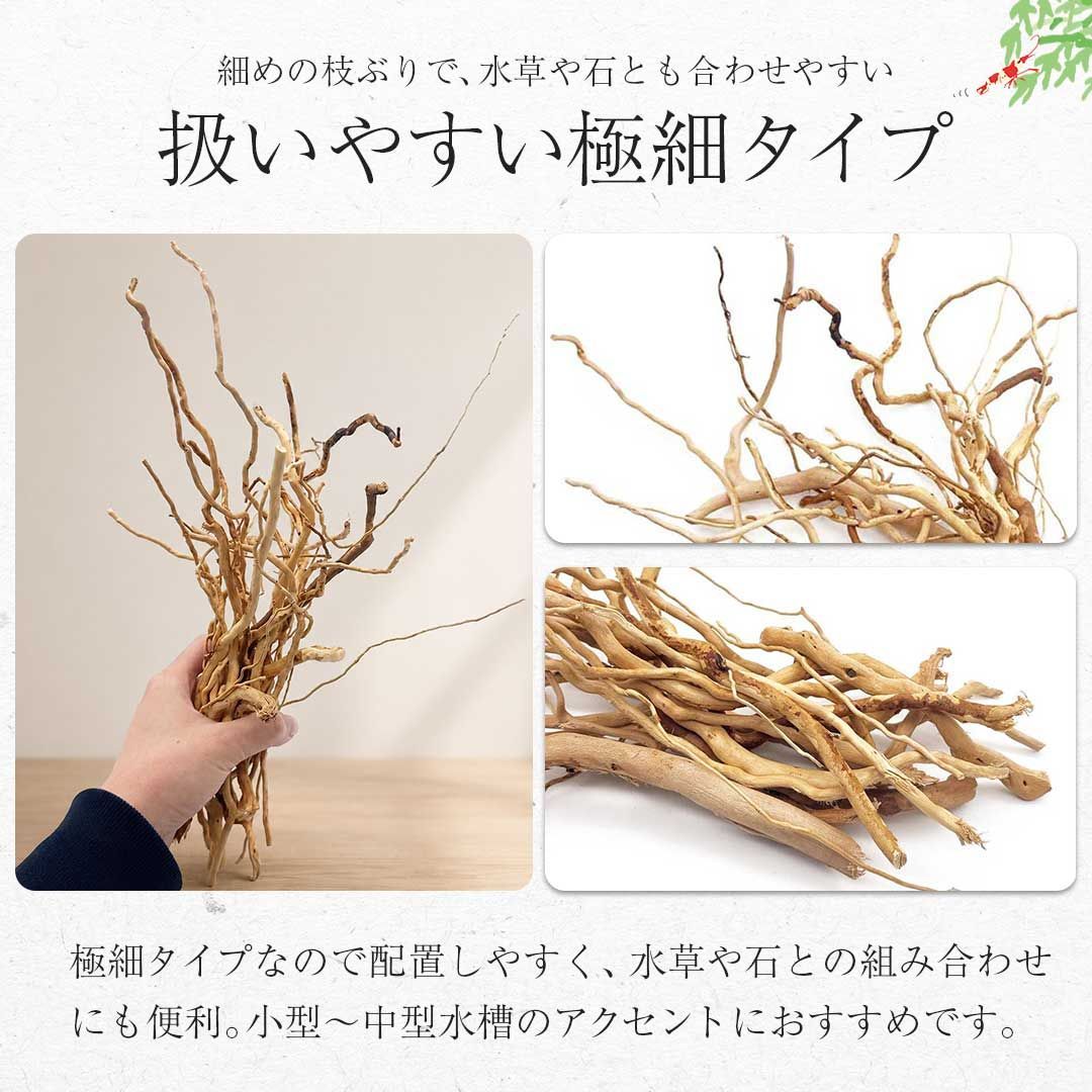 アクアリウム 流木 ーVer4ー 自然の流木の根 木の根 1束50gセット 極細