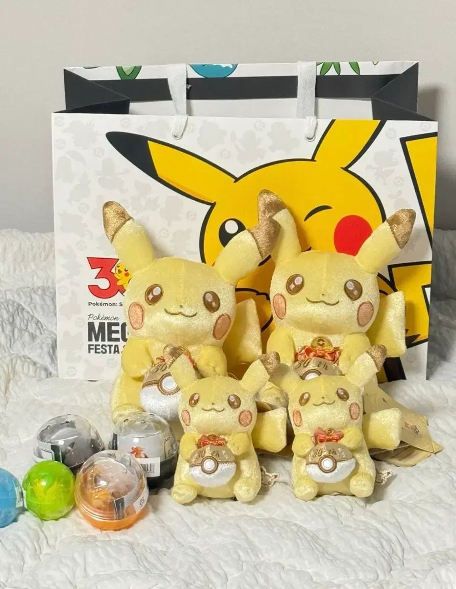 (新品) ポケモン 30周年 ピカチュウ キーホルダー＋ぬいぐるみ セット