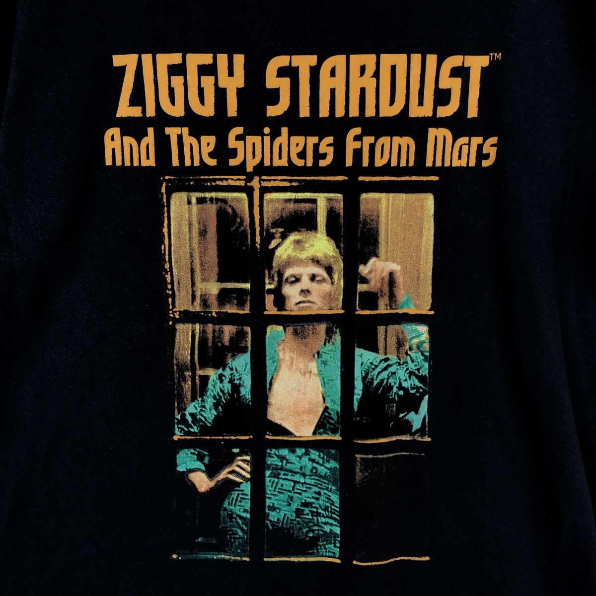 古着 DAVID BOWIE デヴィッドボウイ バンドTシャツ バンT メンズXXL