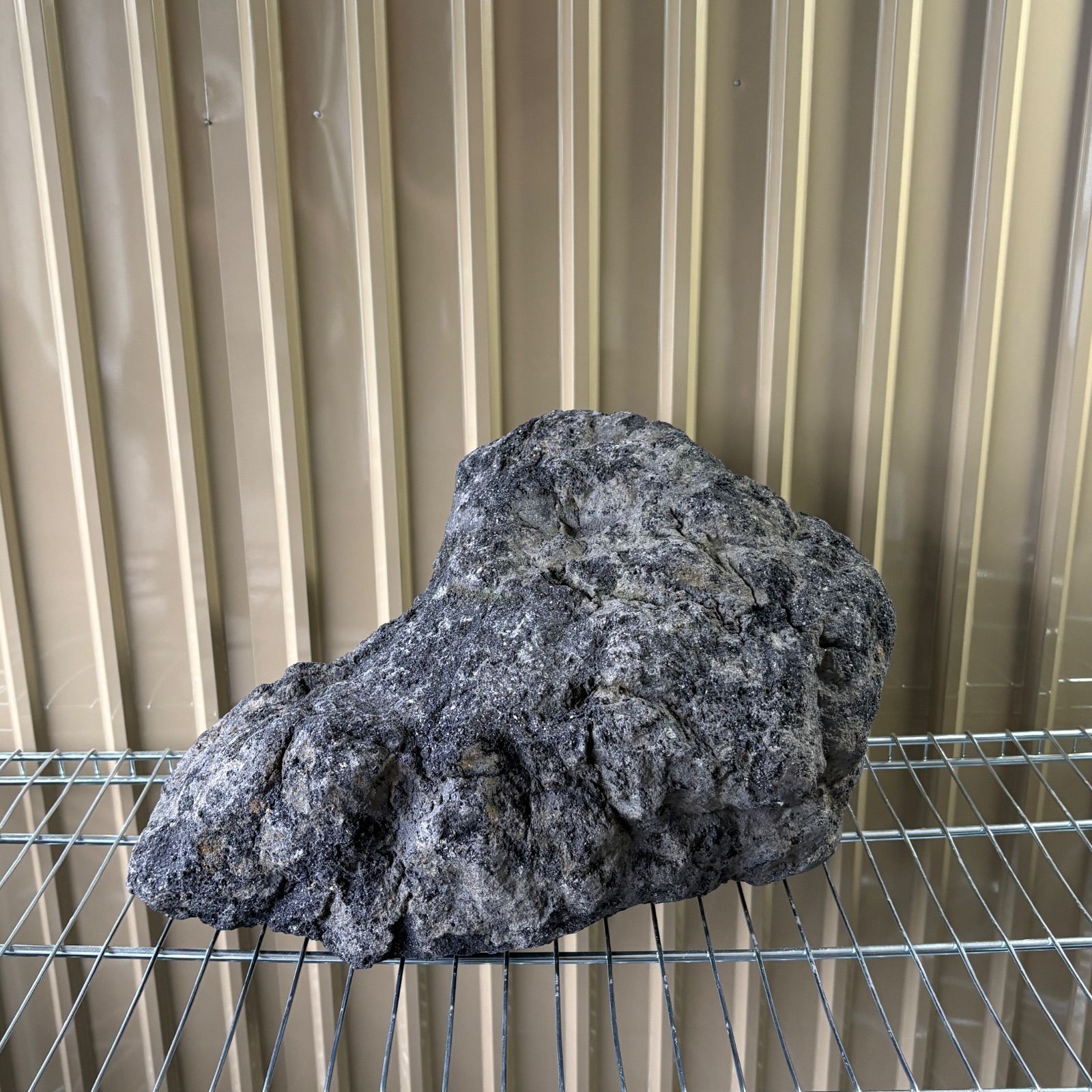 超特大！　国産　溶岩石　親石　40cm前後 魚用品・水草 超特大！ 国産 溶岩石 親石 40cm前後