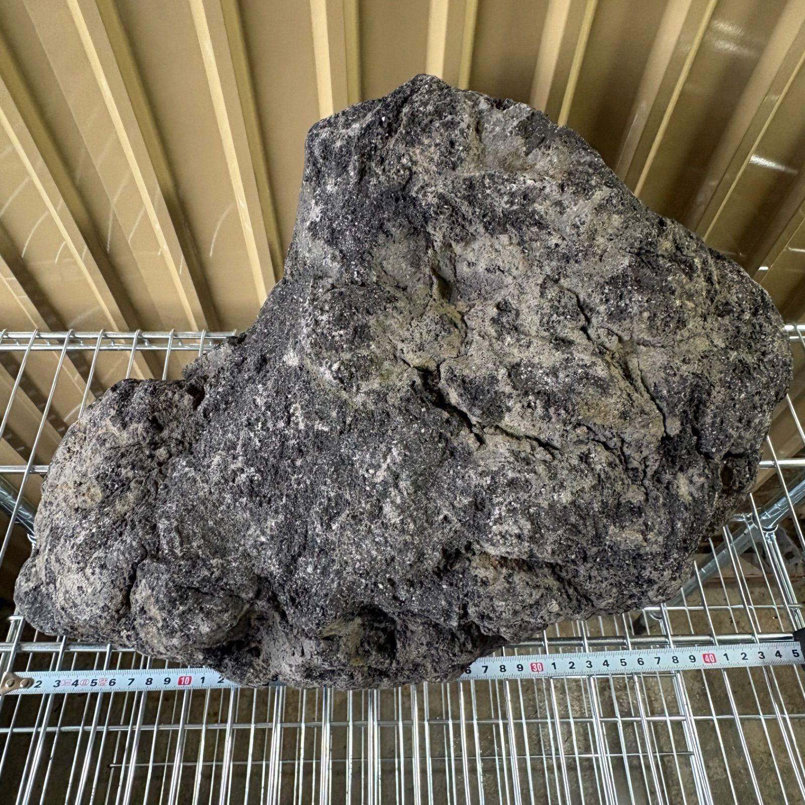 魚用品・水草 超特大！ 国産 溶岩石 親石 40cm前後