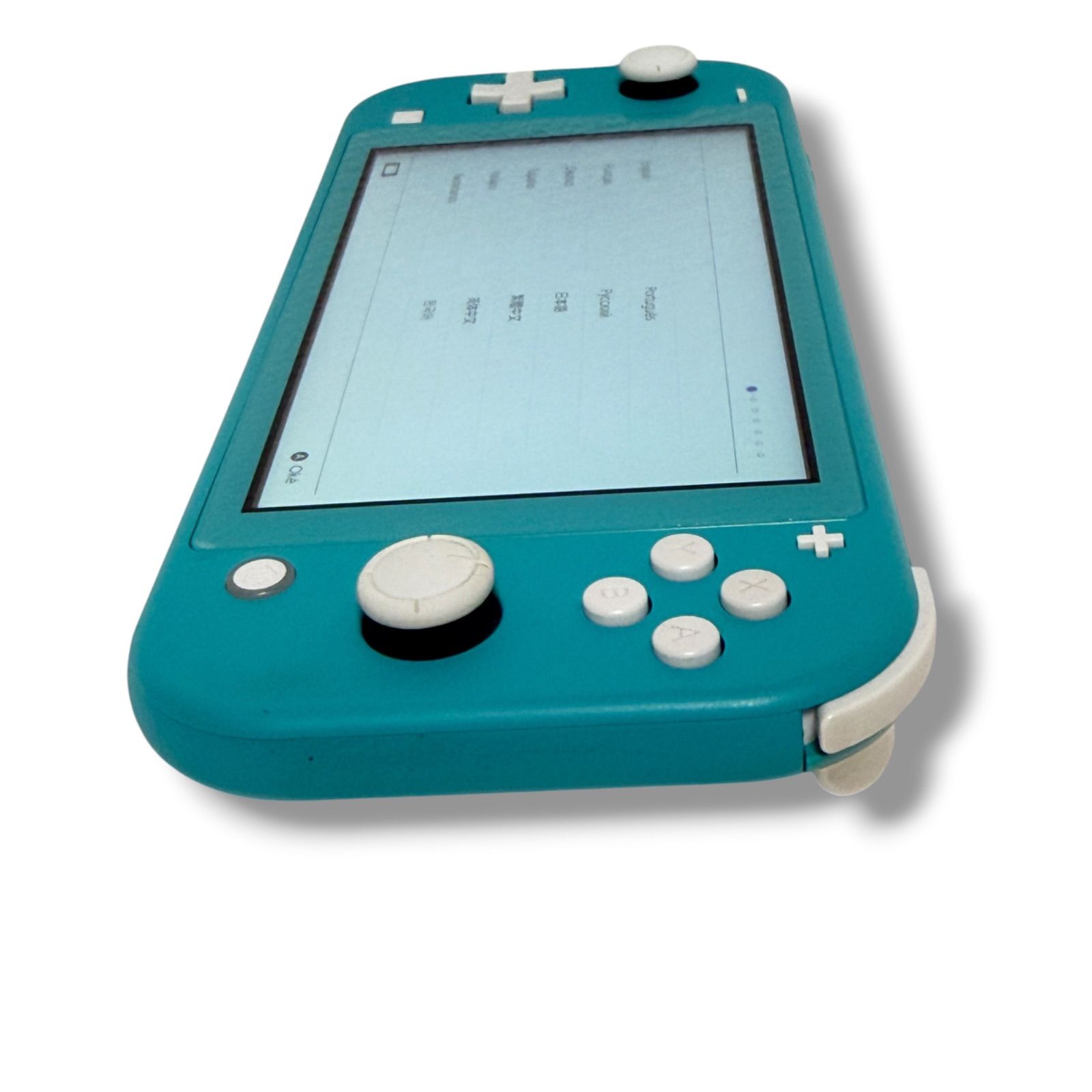 動作品】Nintendo Switch Lite /ニンテンドー スイッチライト 本体