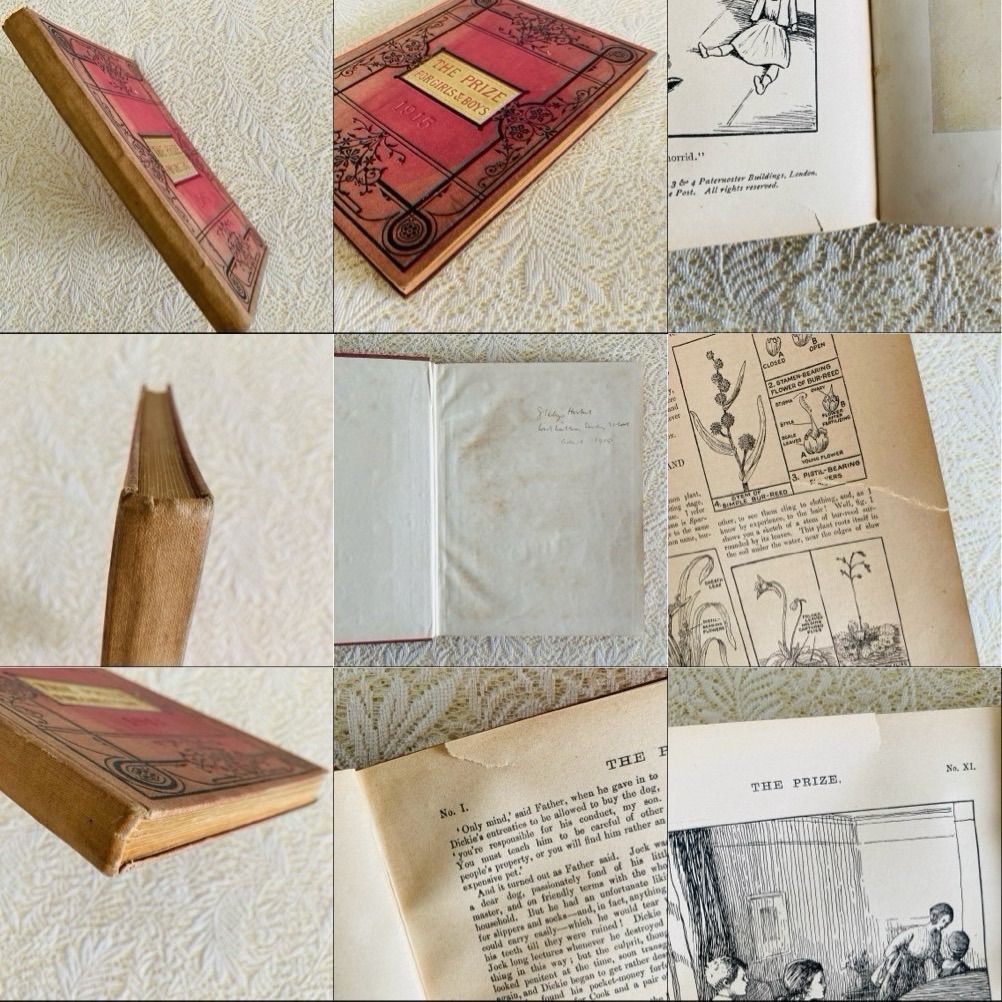 アンティーク児童書 The Prize 1915年 カラー図版12点収録 洋書・古書