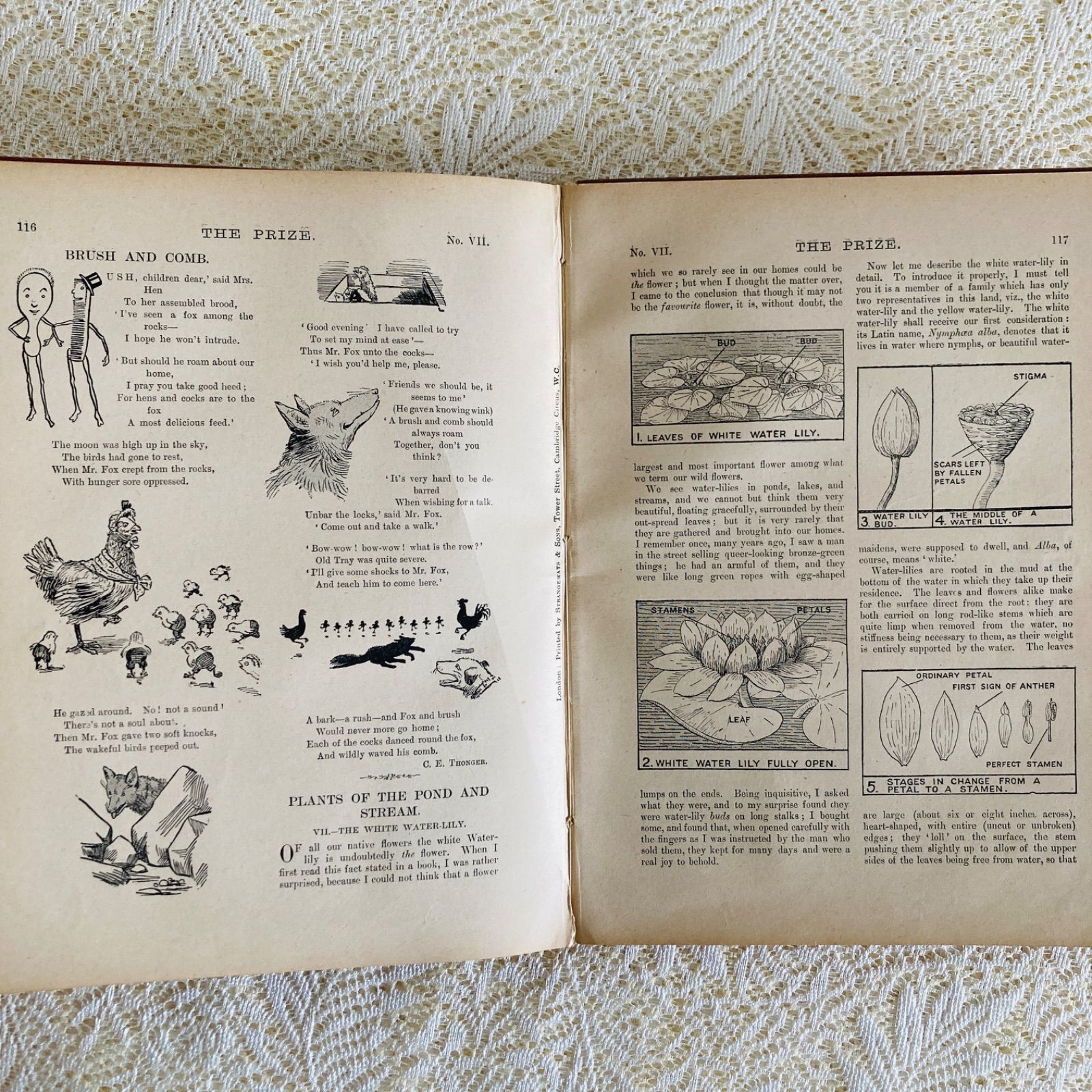 アンティーク児童書 The Prize 1915年 カラー図版12点収録 洋書・古書