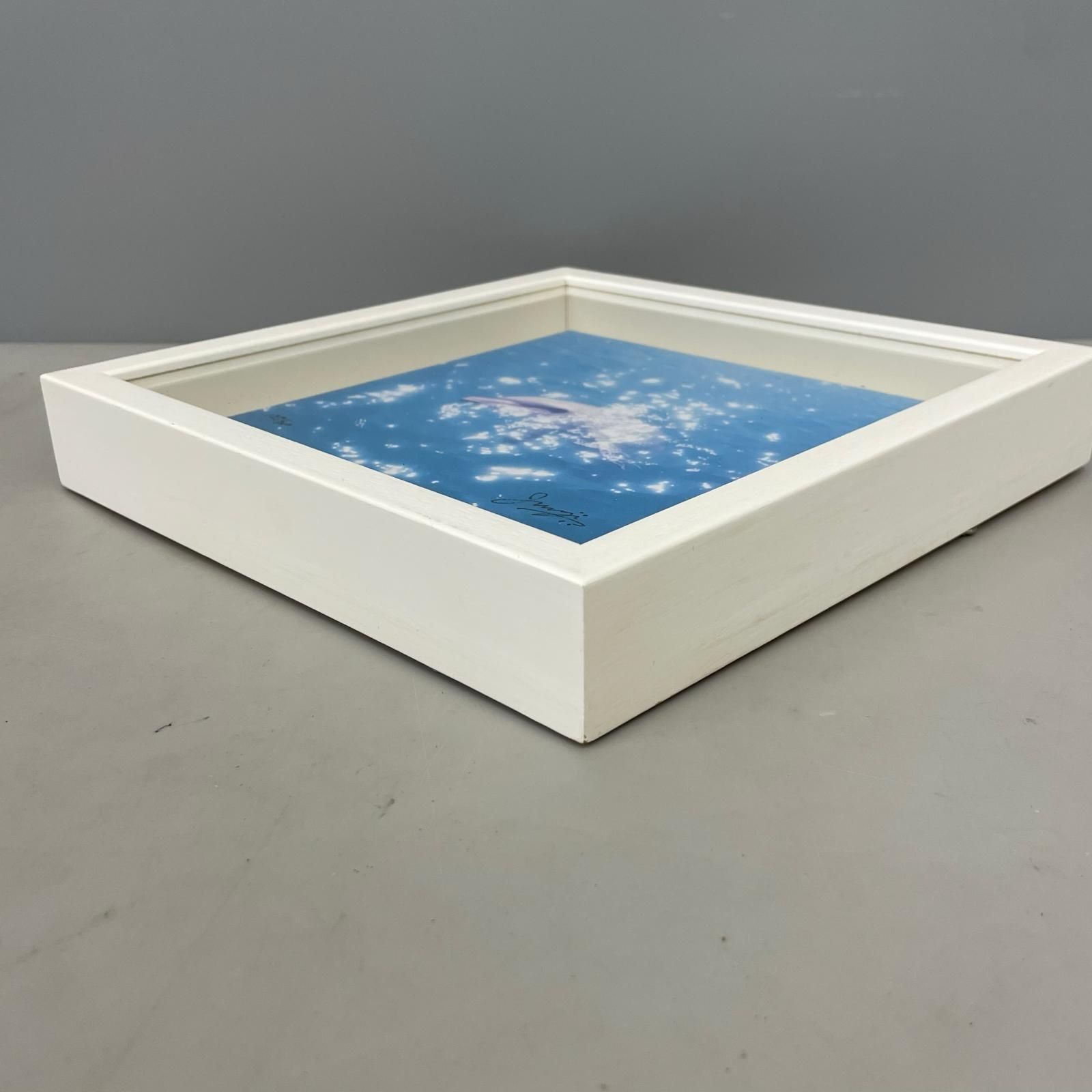 dolphin イルカ 高砂淳二 版画 ジクレー 額装品 - メルカリ